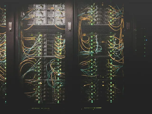 Panel de red con cables de fibra conectados a un switch